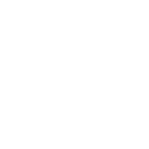 iaee white logo adrail